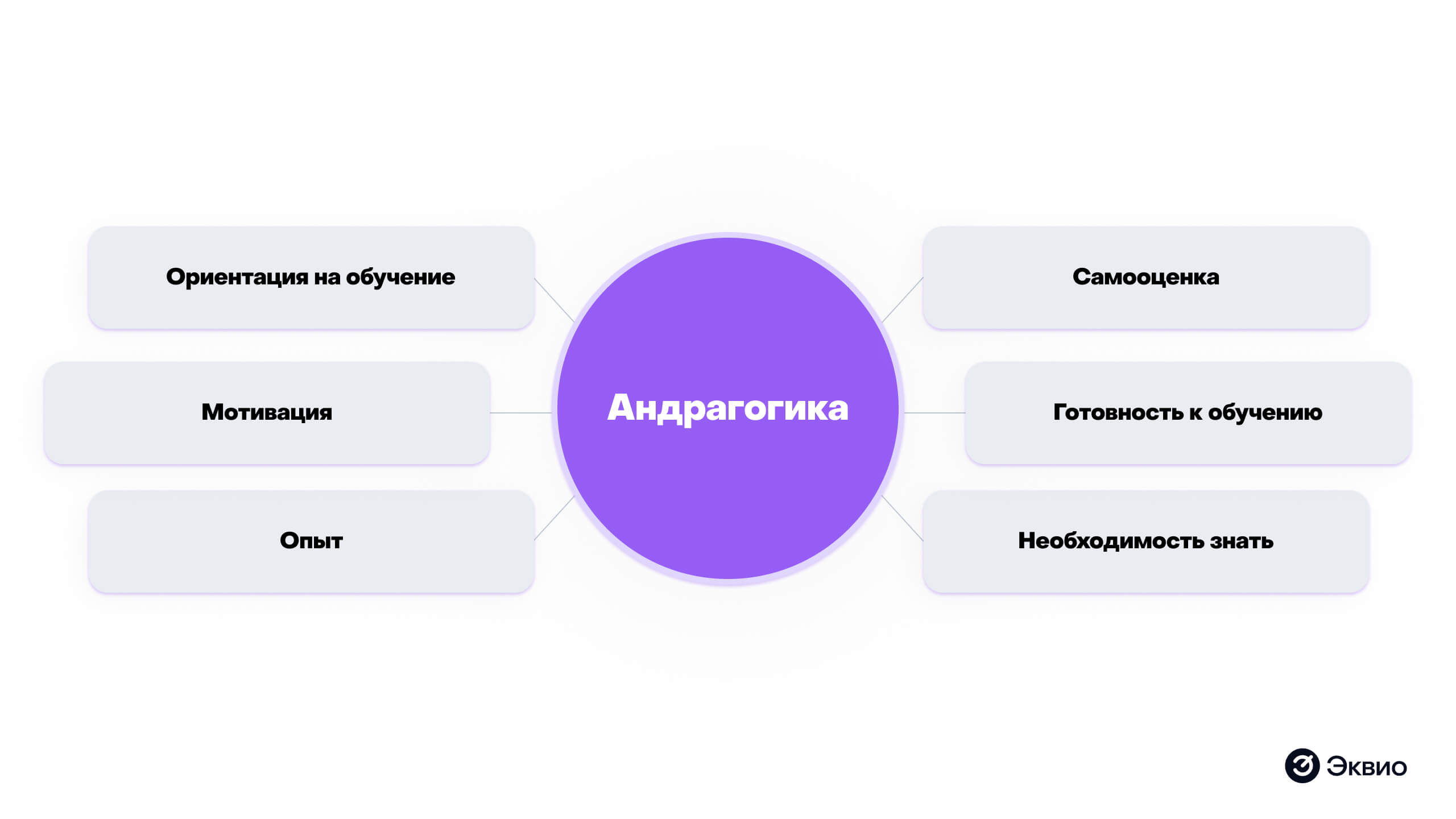 Что такое андрагогика