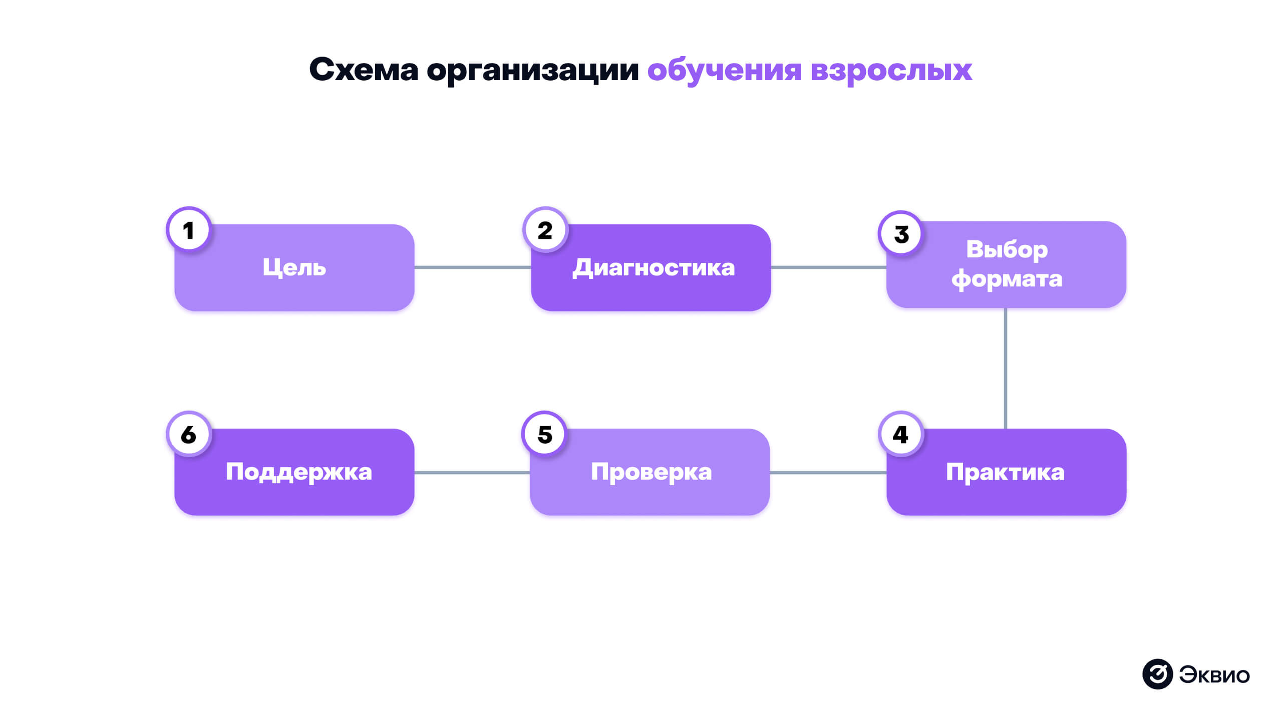 Схема организации обучения взрослых