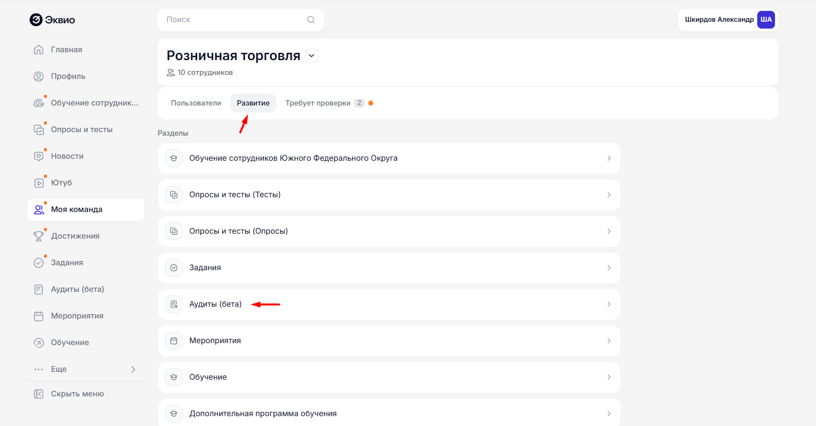 Аудиты в&nbsp;разделе “Моя команда”
