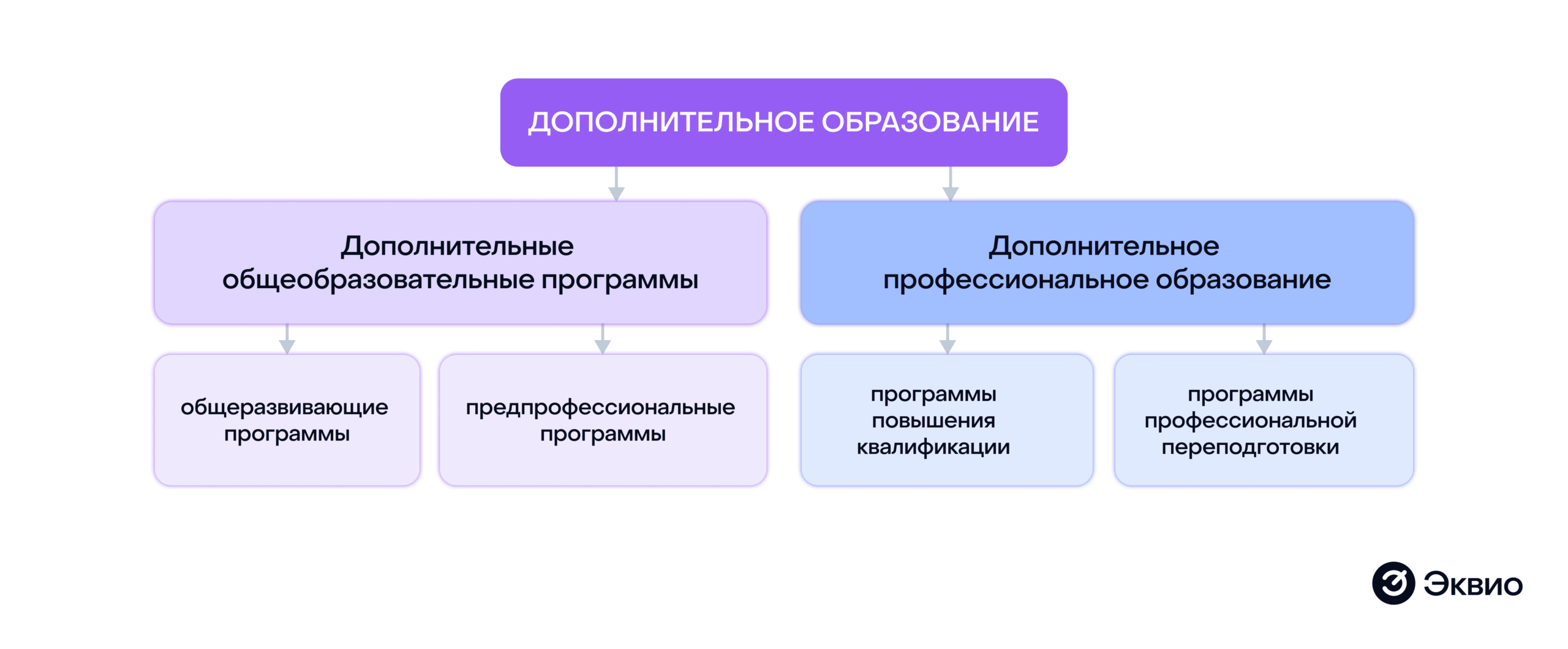 Схема структуры дополнительного образования: общеобразовательные и профессиональные программы Схема структуры дополнительного образования: общеобразовательные и профессиональные программы