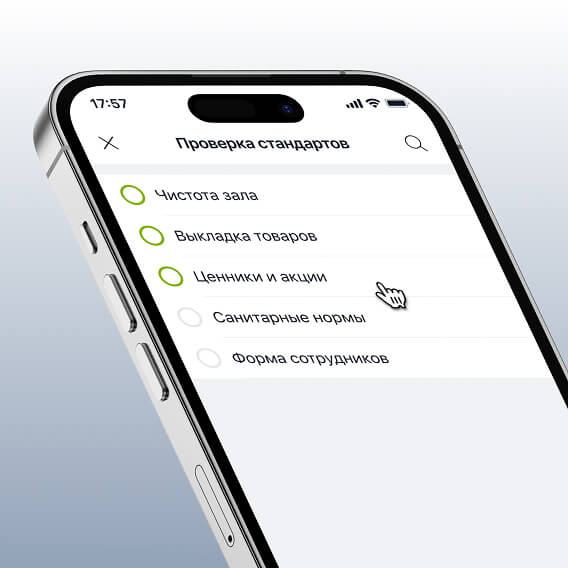 Система аудитов стандартов
